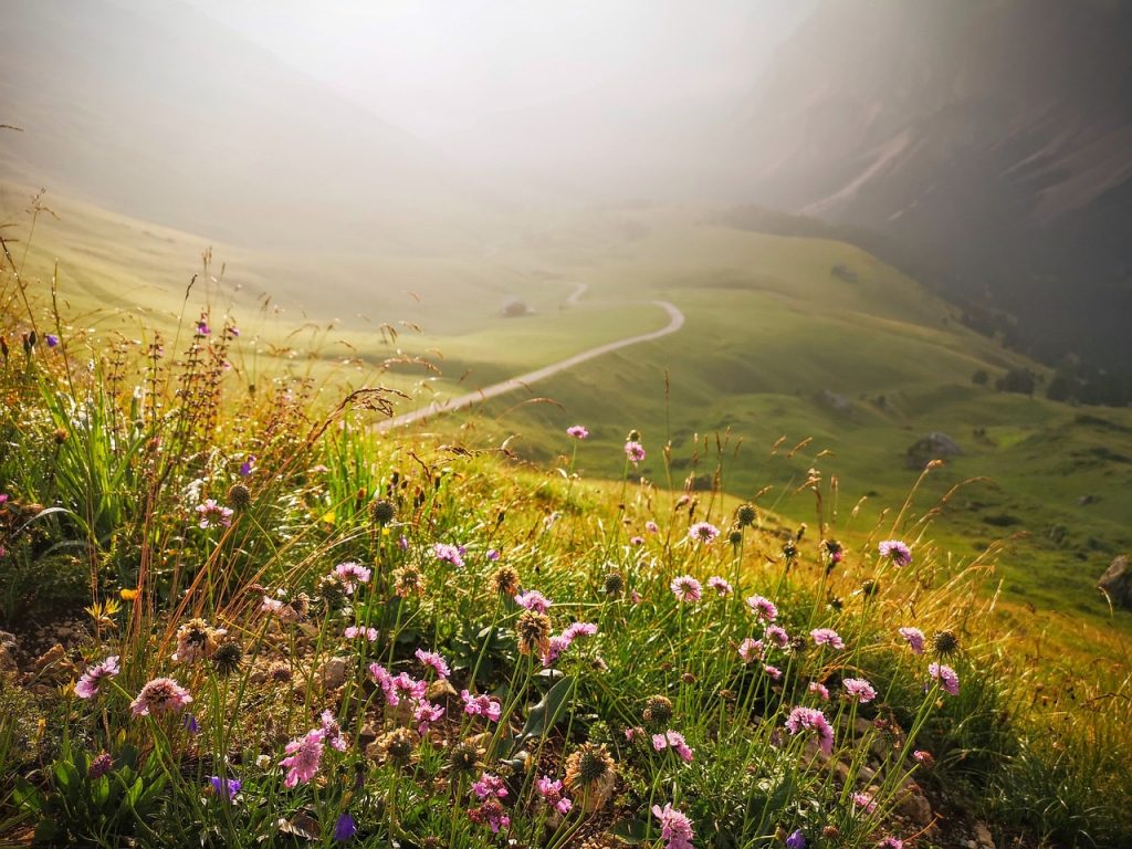 naturaleza Dolomitas