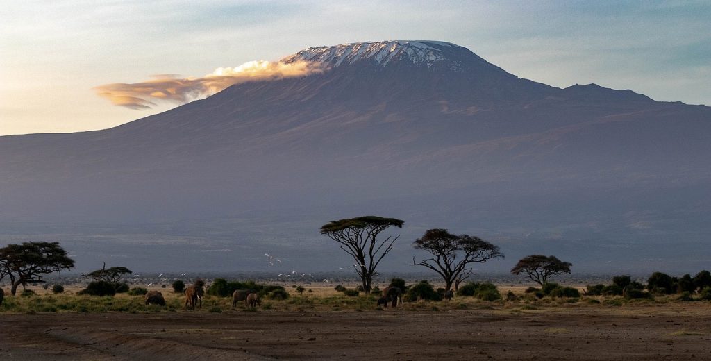 Sabana África