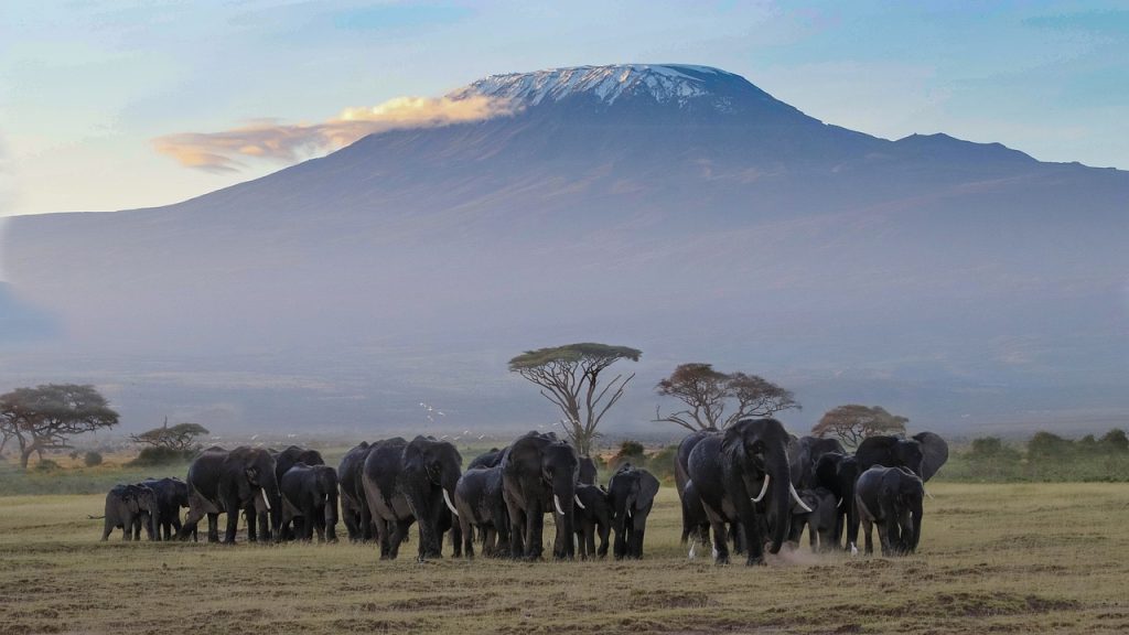 Visita el Kilimanjaro en Kenia