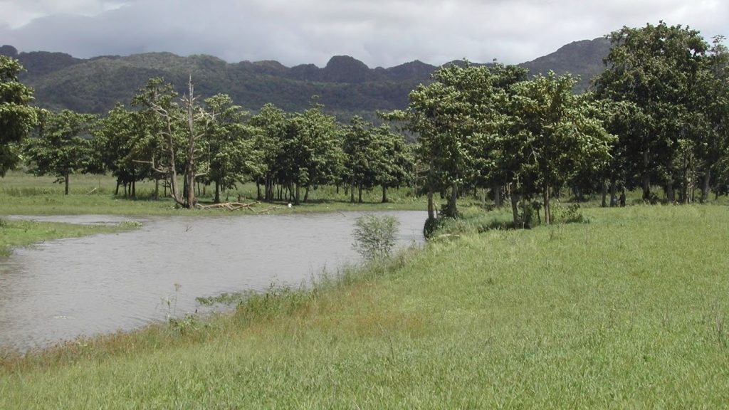PARQUE NACIONAL DE KINO KONIS SANTANA