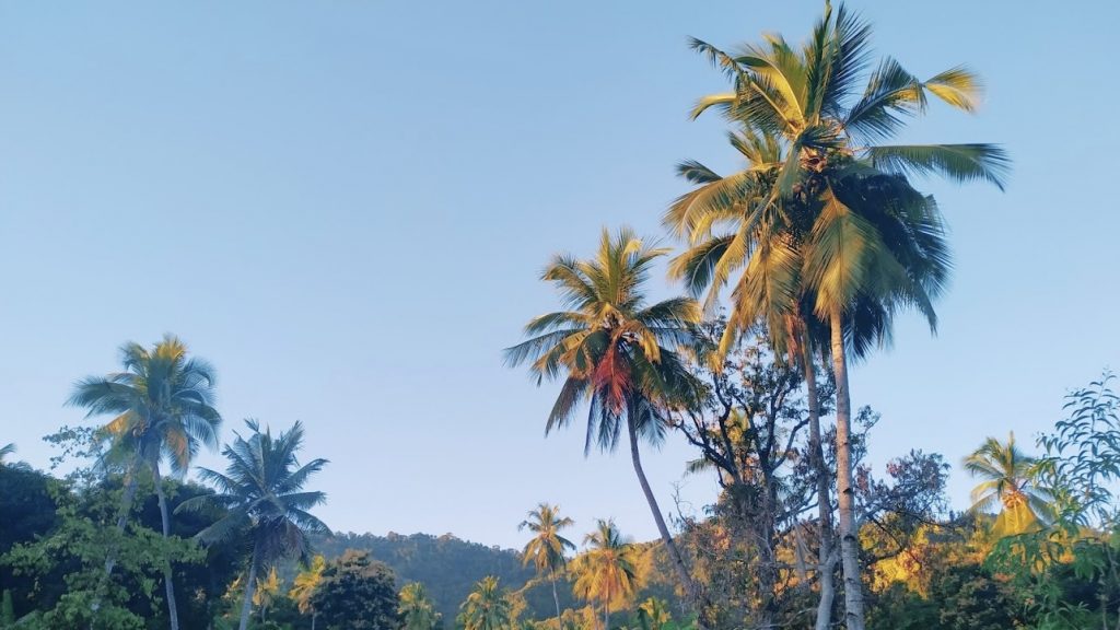 ANJOUAN en las Comoras