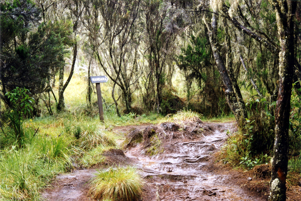 SITIOS PARA VISITAR EN EL KILIMANJARO