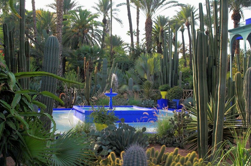 Los Jardines de Majorelle,lugares para visitar en Marrakech