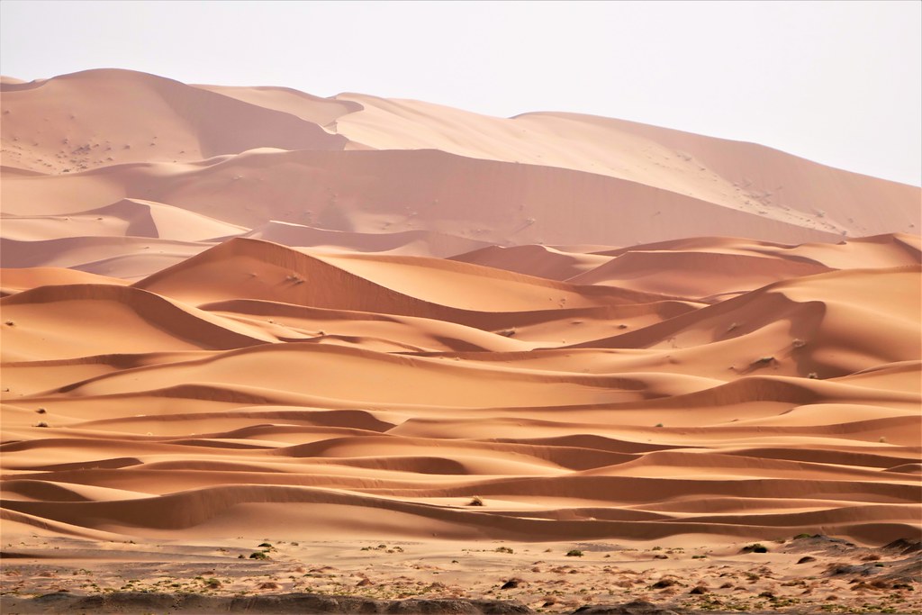Experiencias únicas en Marruecos, el desierto