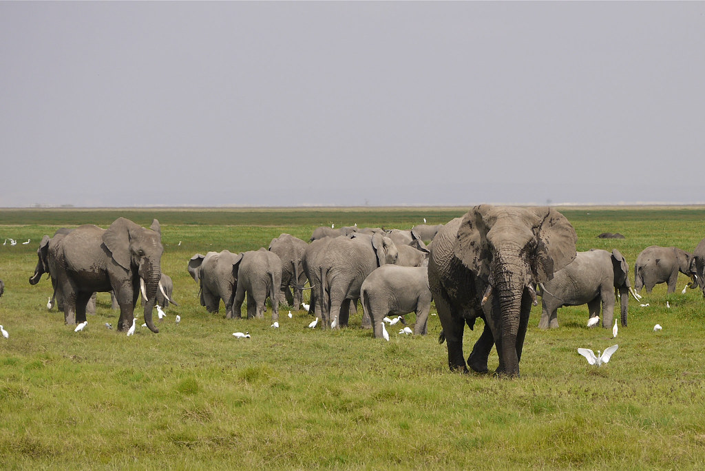 Tik Toker española, tuvo un accidente de safari en Kenia 