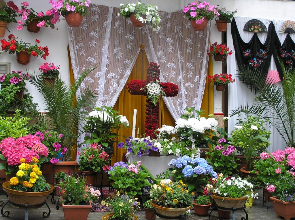 CRUCES DE MAYO