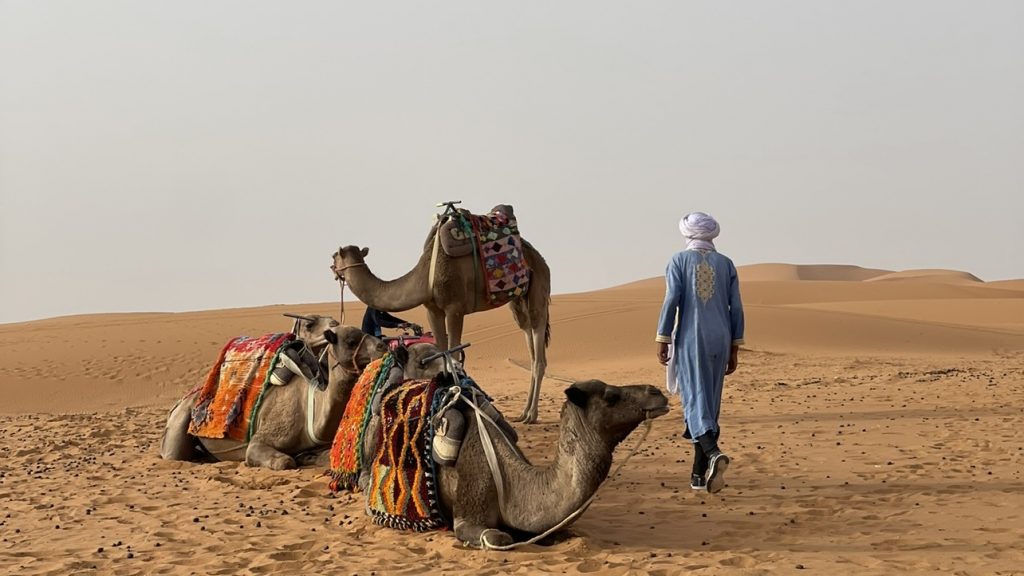 DESIERTO DE MERZOUGA, como llegar