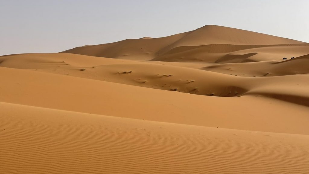 LAS DUNAS DEL DESIERTO