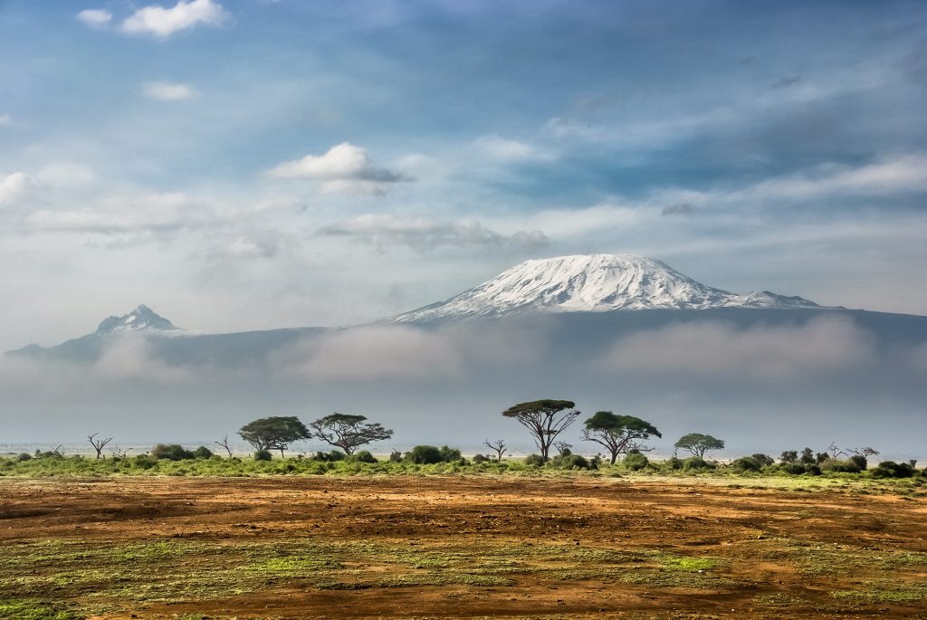 Kilimanjaro: guía de viaje, sabaná