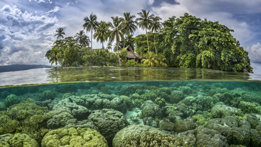 Islas Salomon
