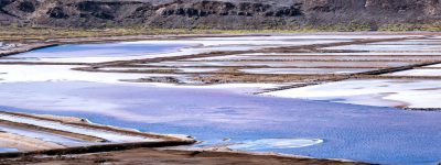 53413892079_fbc421ff18_b